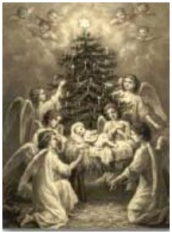 Angels in Adoration Christmas Cards 25 Pack