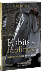 Habits for Holiness: Small Steps for Making Big Spiritual Progress