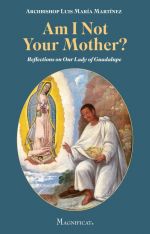 Am I Not Your Mother? Reflections on Our Lady of Guadalupe