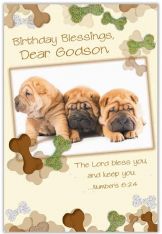 Birthday Card for Godson: Pack of 6 or 12