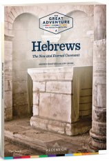 Hebrews: The New and Eternal Covenant Workbook
