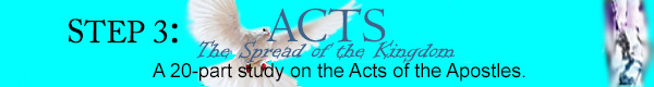 Acts Bible Study Program