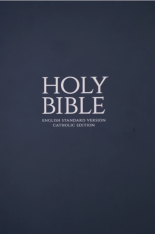 Blue Paperback Bible (ESV-CE)