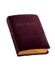Catholic Companion Edition NABRE Bible