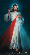 Chaplet of The Divine Mercy Prayer Card (pack of 100) Hyla