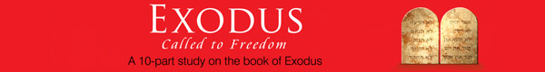 Exodus Bible Study