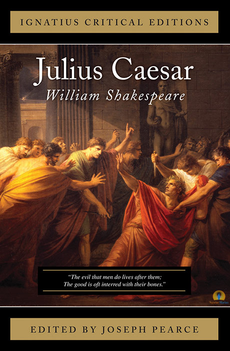 imagery usage in shakespeares julius caesar essay imagery usage in shakespeares julius caesar essay