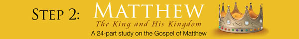 Matthew Bible Study Program