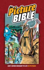 The Picture Bible - Hardcover (Comic Book/Graphic Novel)