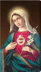 Immaculate Heart of Mary 10 x 18 Canvas Print