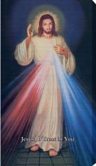 Hyla Divine Mercy 10" x 18" Canvas Print