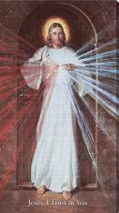 Skemp Divine Mercy 10" x 18" Canvas Print