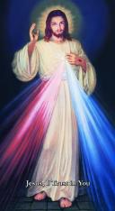 Chaplet of Divine Mercy Prayer Cards Hyla New (1000 Pack)