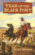 Year of the Black Pony