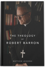 The Theology of Robert Barron