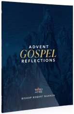 Advent 2023 Daily Gospel Reflections
