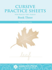 Cursive Practice Sheets Book Three