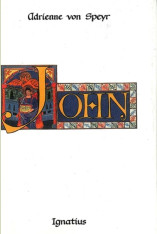 John, Vol. 1 The Word Becomes Flesh