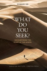 What do you Seek? Encountering the Heart of the Gospel (Paperback)
