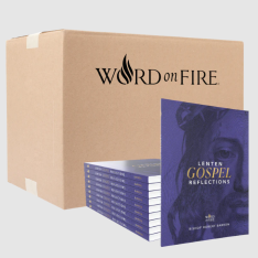 Lenten Gospel Reflections 2026 - Box of 20
