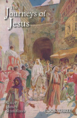 The Journeys of Jesus Book Two