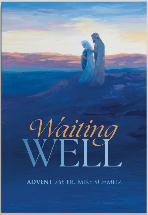 Waiting Well: Advent with Fr. Mike Schmitz, Journal