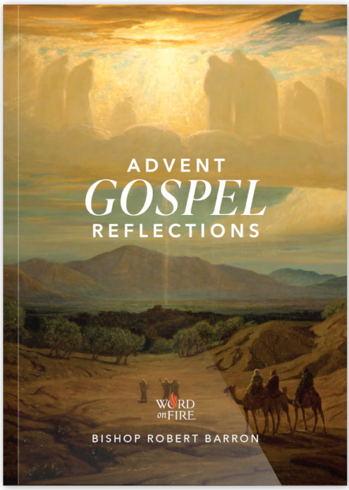 Advent Gospel Reflections 2025