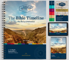 The Bible Timeline: The Story of Salvation, Starter Pack (New Edition)