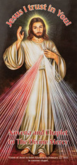 Novena Divine Mercy Prayer Card