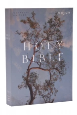 NRSV Catholic Edition Bible, Eucalyptus (Global Cover Series) Holy Bible - Softcover