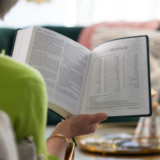 NRSV XL, Catholic Edition, Navy Leathersoft: Holy Bible