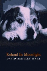Roland in Moonlight (Hardcover)