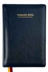 The Great Adventure Catholic Bible for Young Beginners