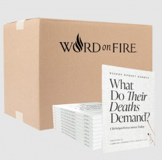 What Do Their Deaths Demand? Christian Persecution Today (Box of 20)