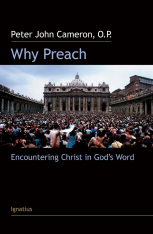 Why Preach? Encountering Christ in God's Word