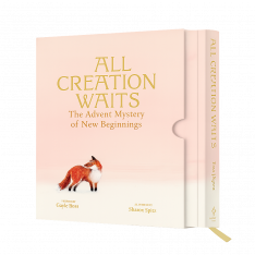 All Creation Waits — Deluxe Edition The Advent Mystery of New Beginnings