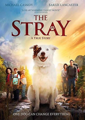 The Stray DVD