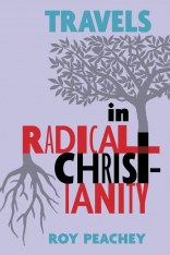 Travels in Radical Christianity (Hardcover)