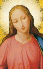 Morning Glory Consecration Prayer Card - 100 pack