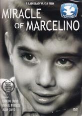 Miracle of Marcelino DVD