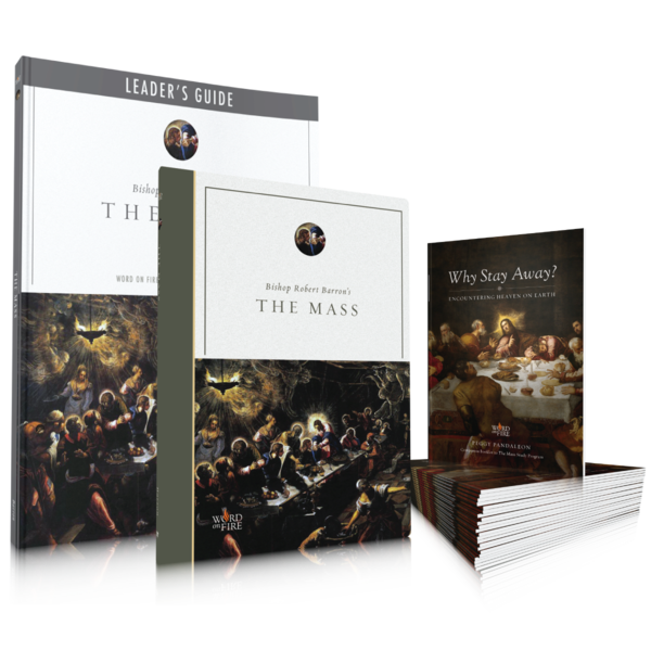 Bishop Robert Barron's The Mass