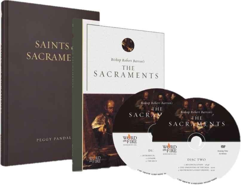 The Sacraments - Bishop Barron DVD + Free Book!