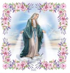 Our Lady's Scarves - Grace