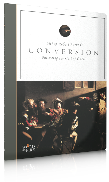 Conversion DVD (Contains English & Spanish audio/subtitles)