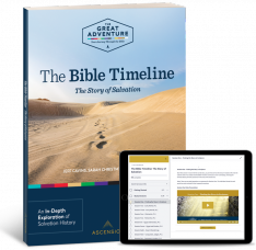 The Bible Timeline: The Story of Salvation Study Set