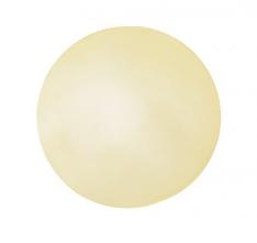 Paten