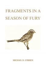 Fragments in a Season of Fury