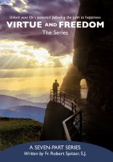 Virtue and Freedom DVD