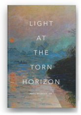 Light at the Torn Horizon