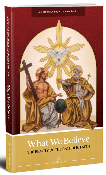 What We Believe: The Beauty of the Catholic Faith, Book